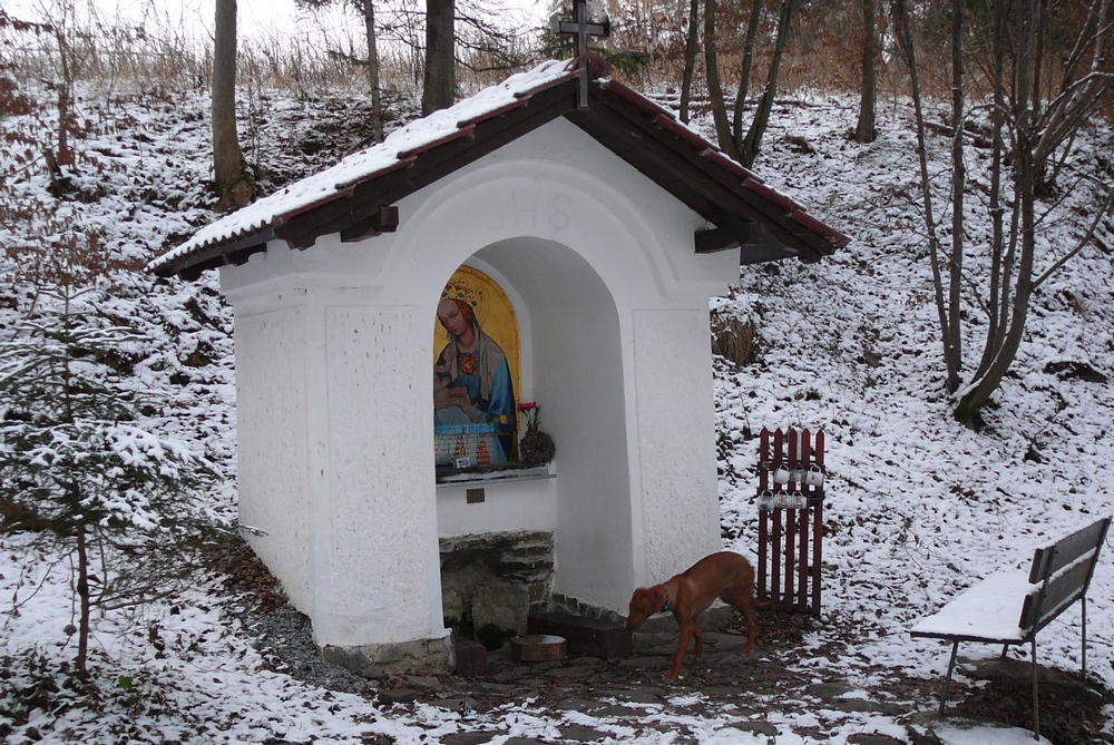 P1040196.JPG