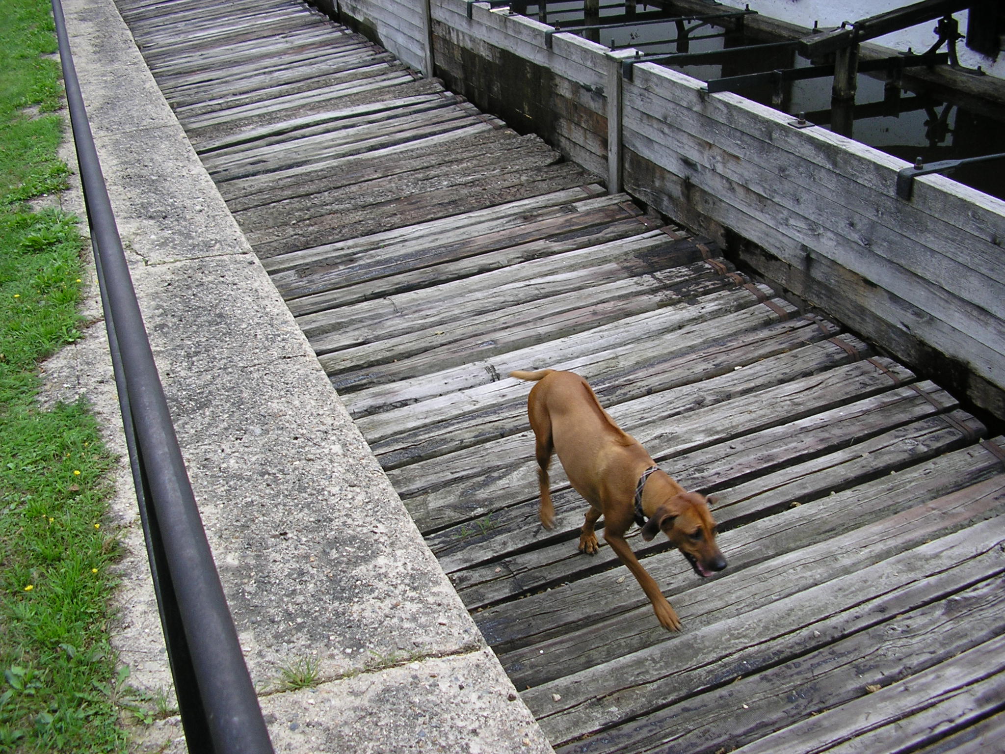 P8100214.JPG