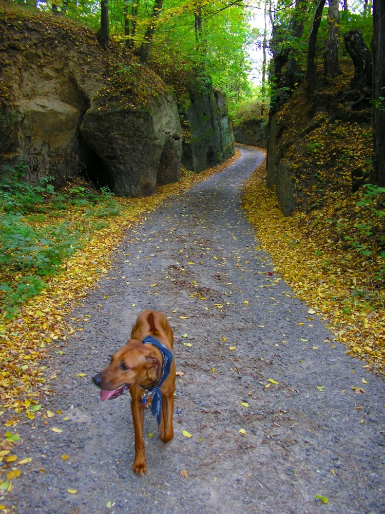 PA180332.JPG