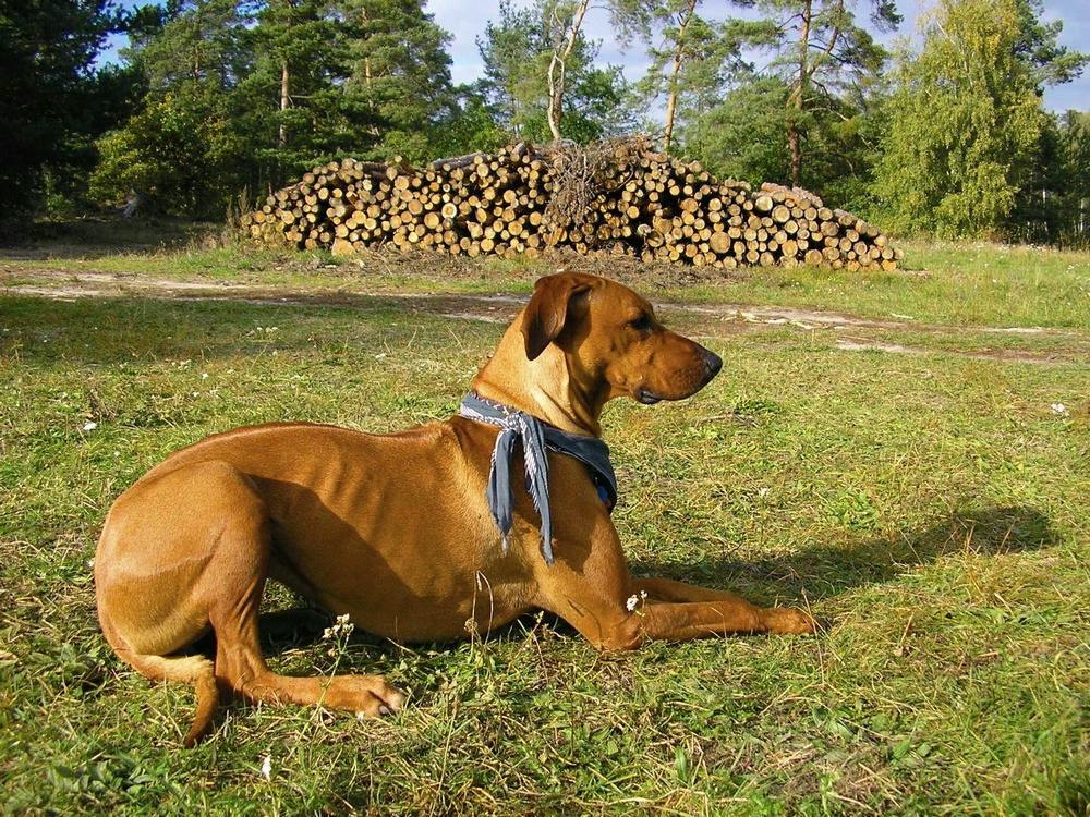 PA180338.JPG