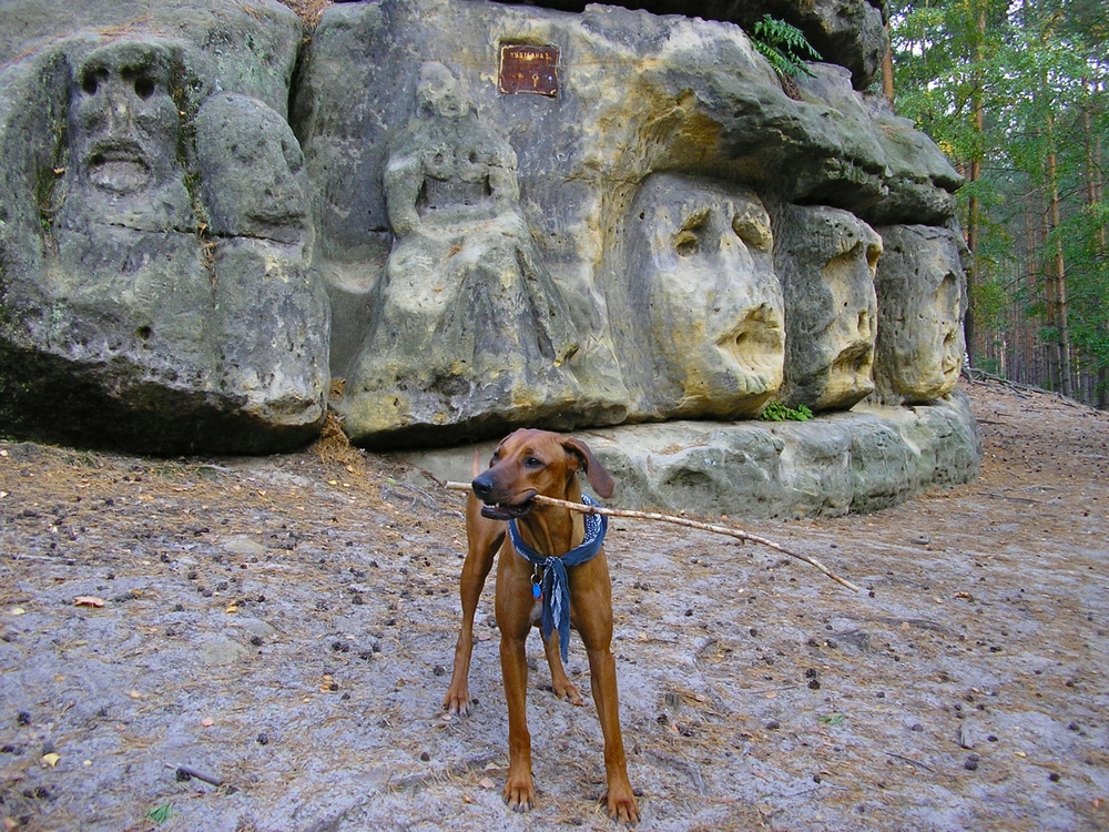 PA180350.JPG