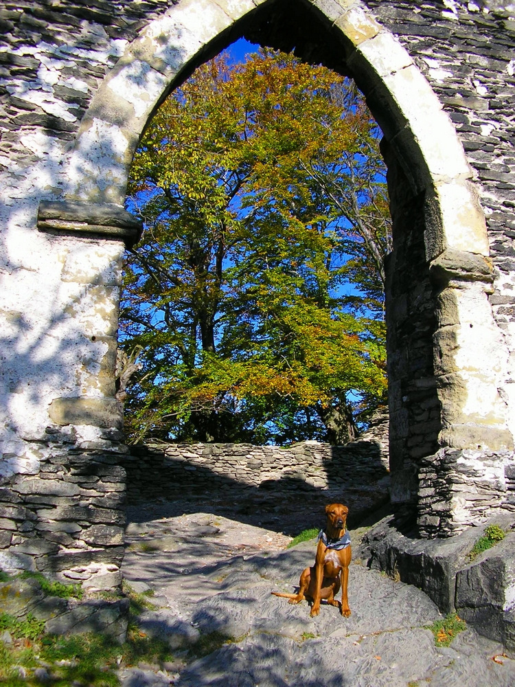PA190397.JPG
