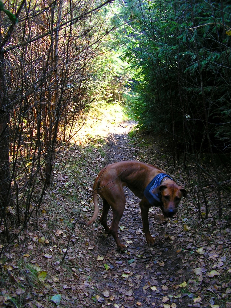 PA190400.JPG