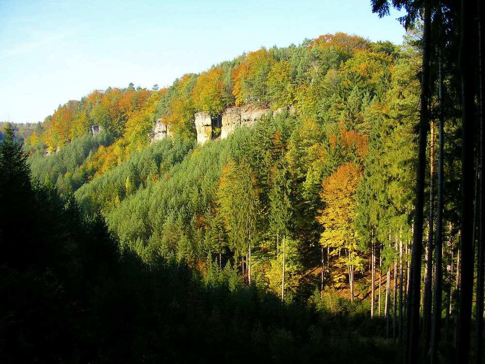 PA190413.JPG