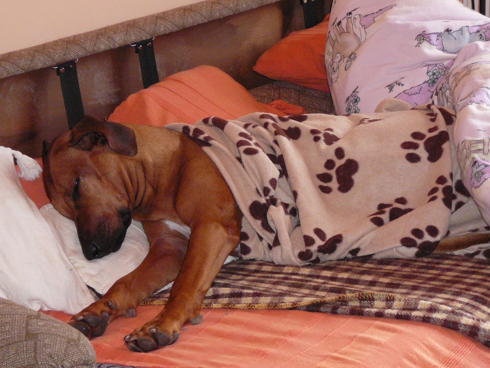 P1000065.JPG