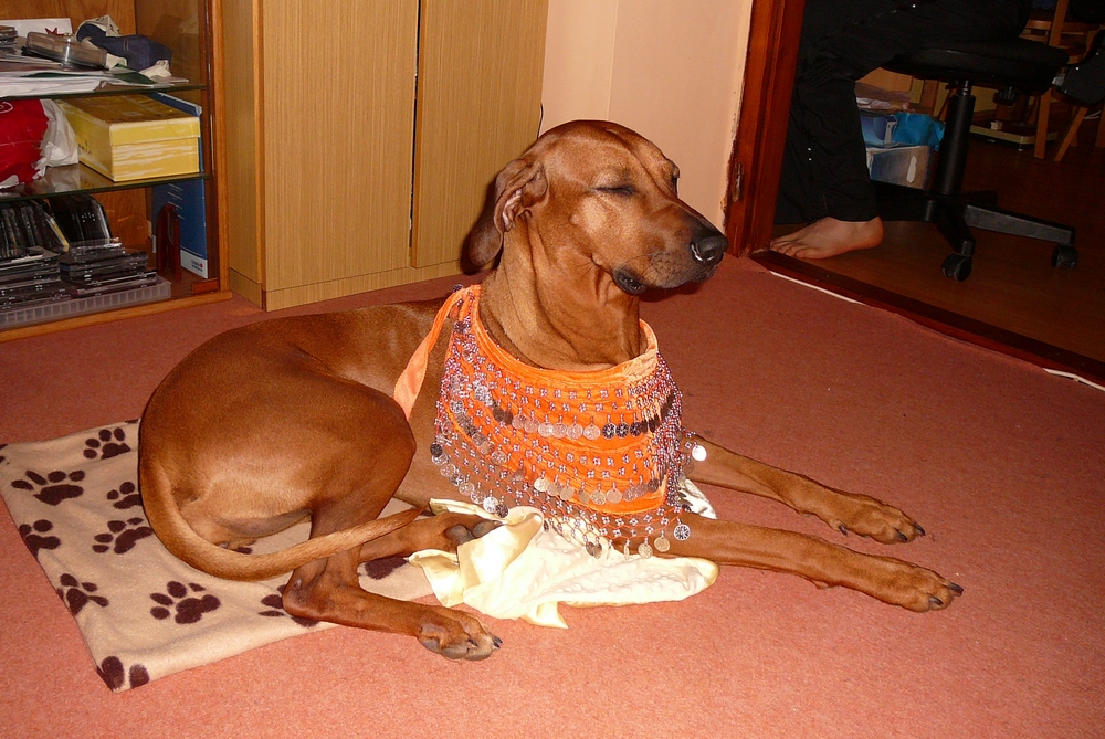 P1000131.JPG