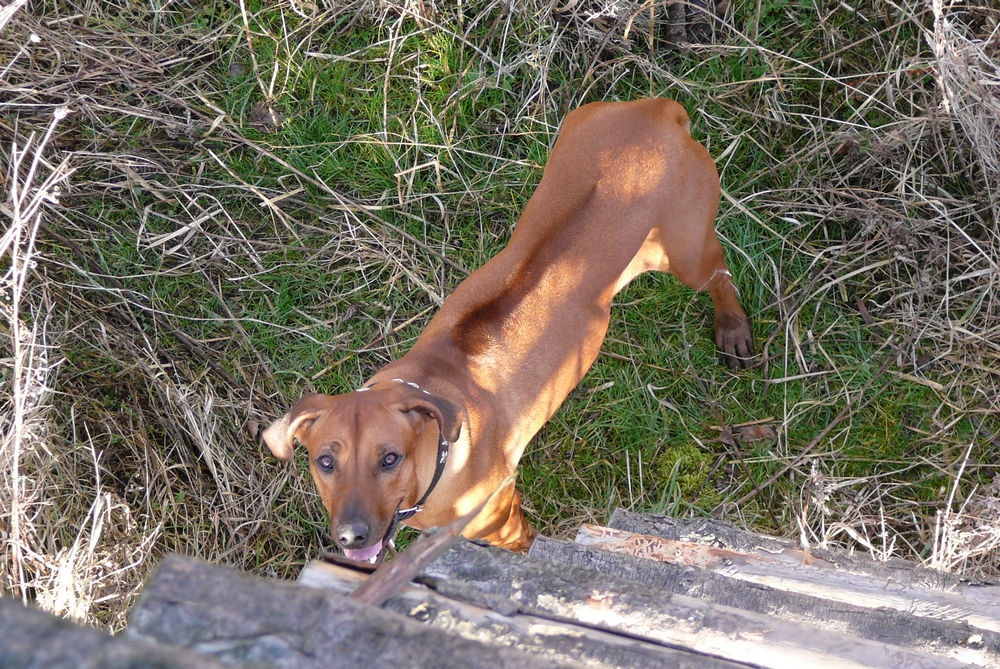 P1000221.JPG