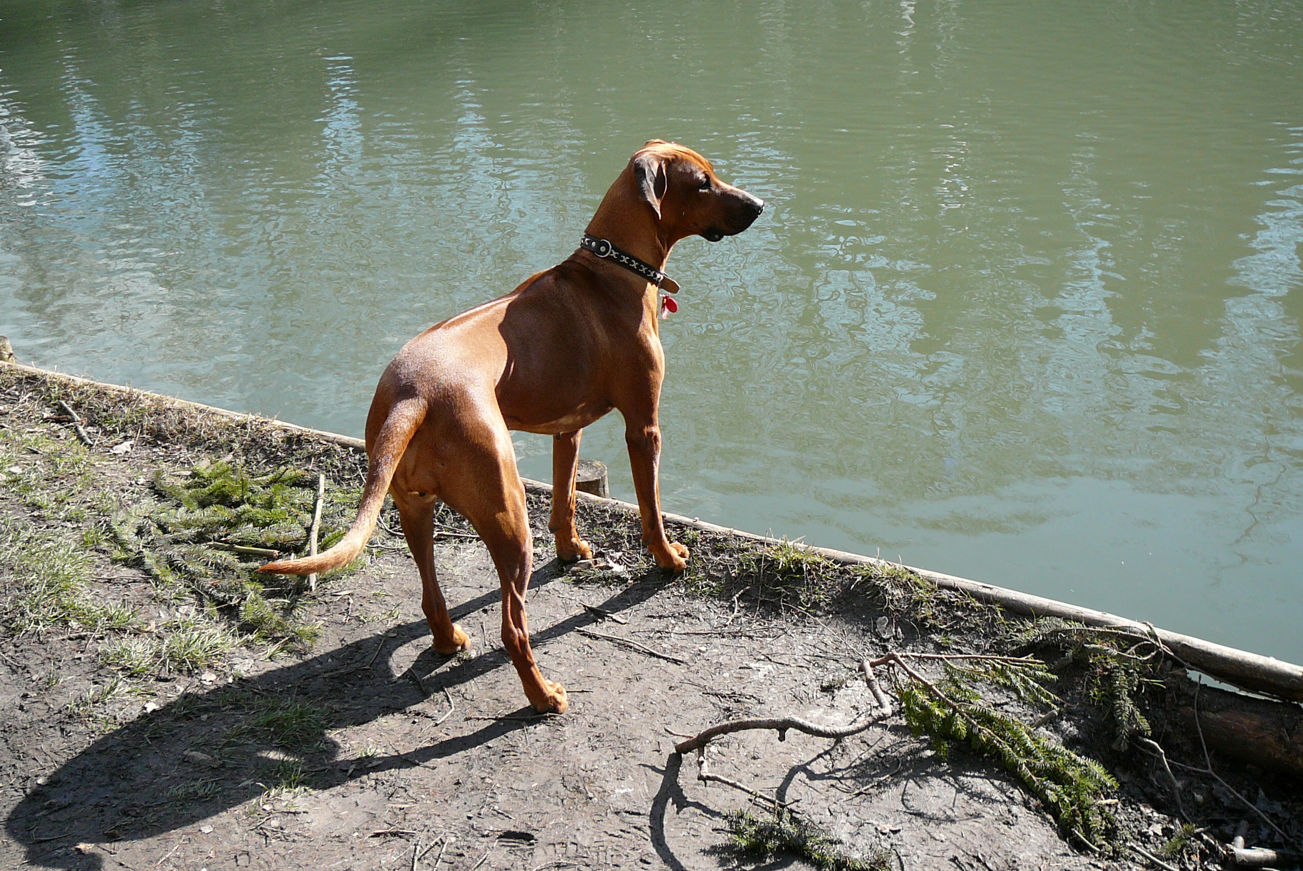 P1000375.JPG