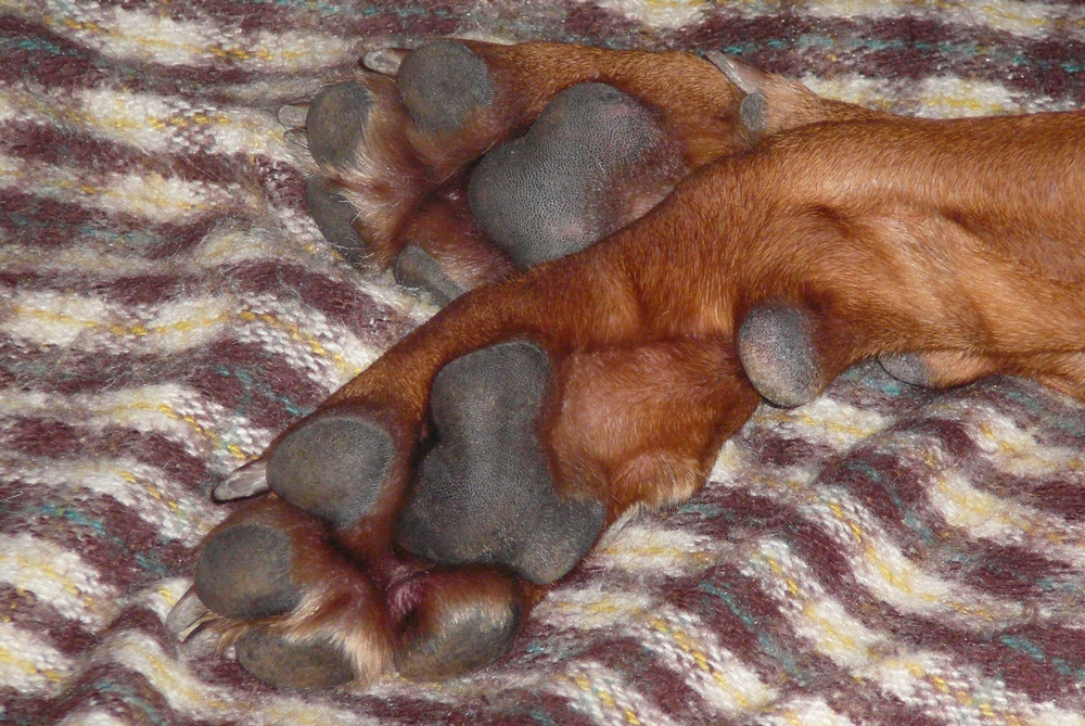 P1000770.JPG