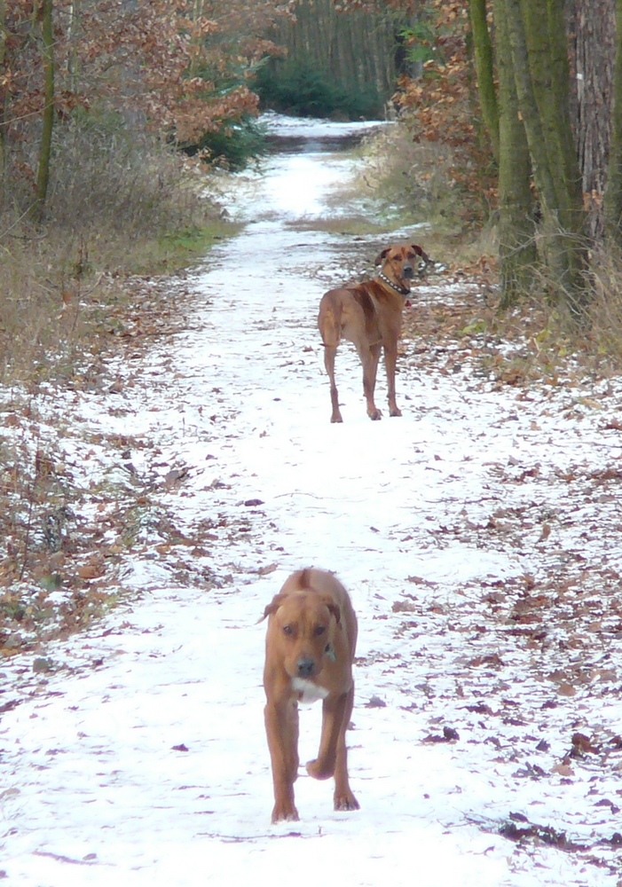 P1040450.JPG