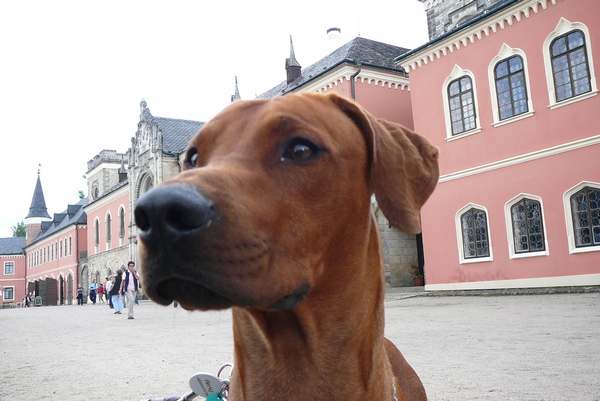 český ráj 2008 054.jpg