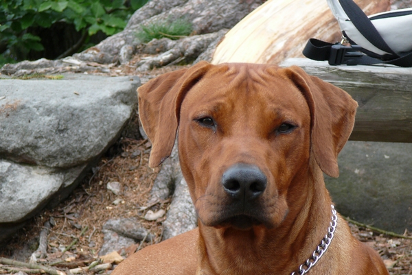 český ráj 2008 075.jpg