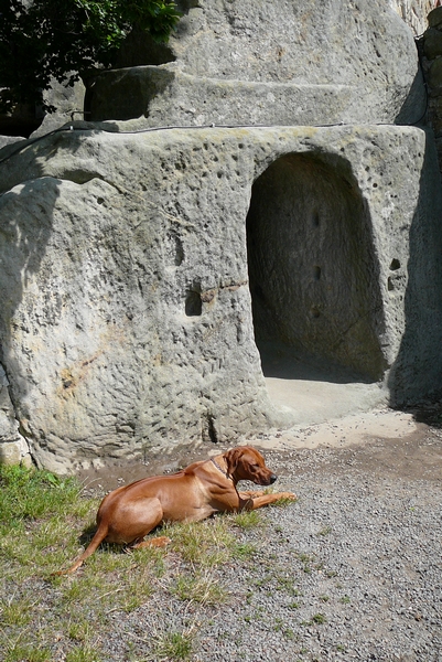 český ráj 2008 085.jpg