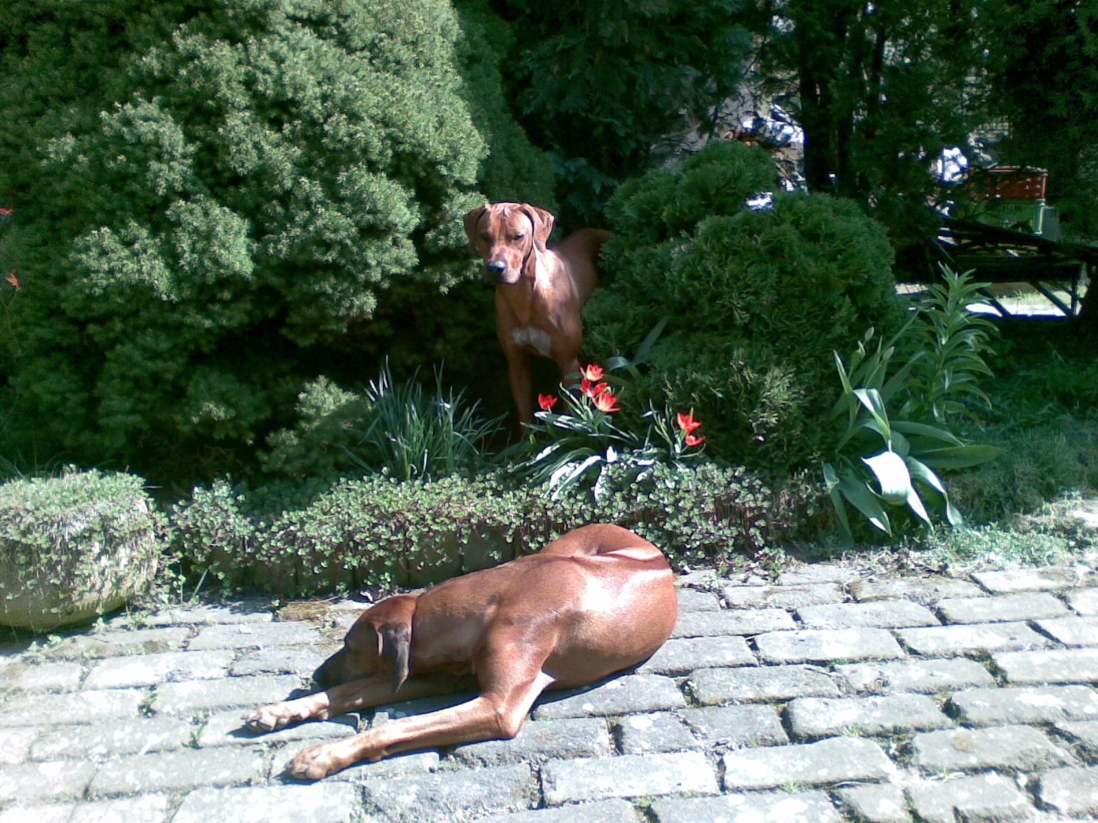 15042009.jpg