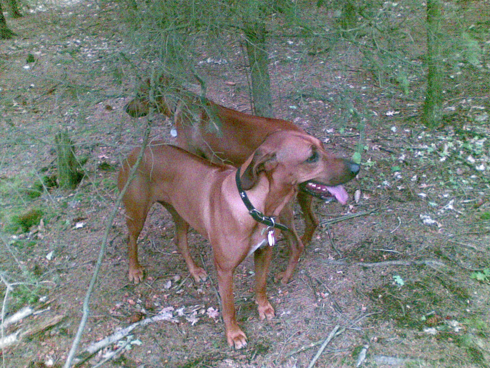 28052009(003).jpg
