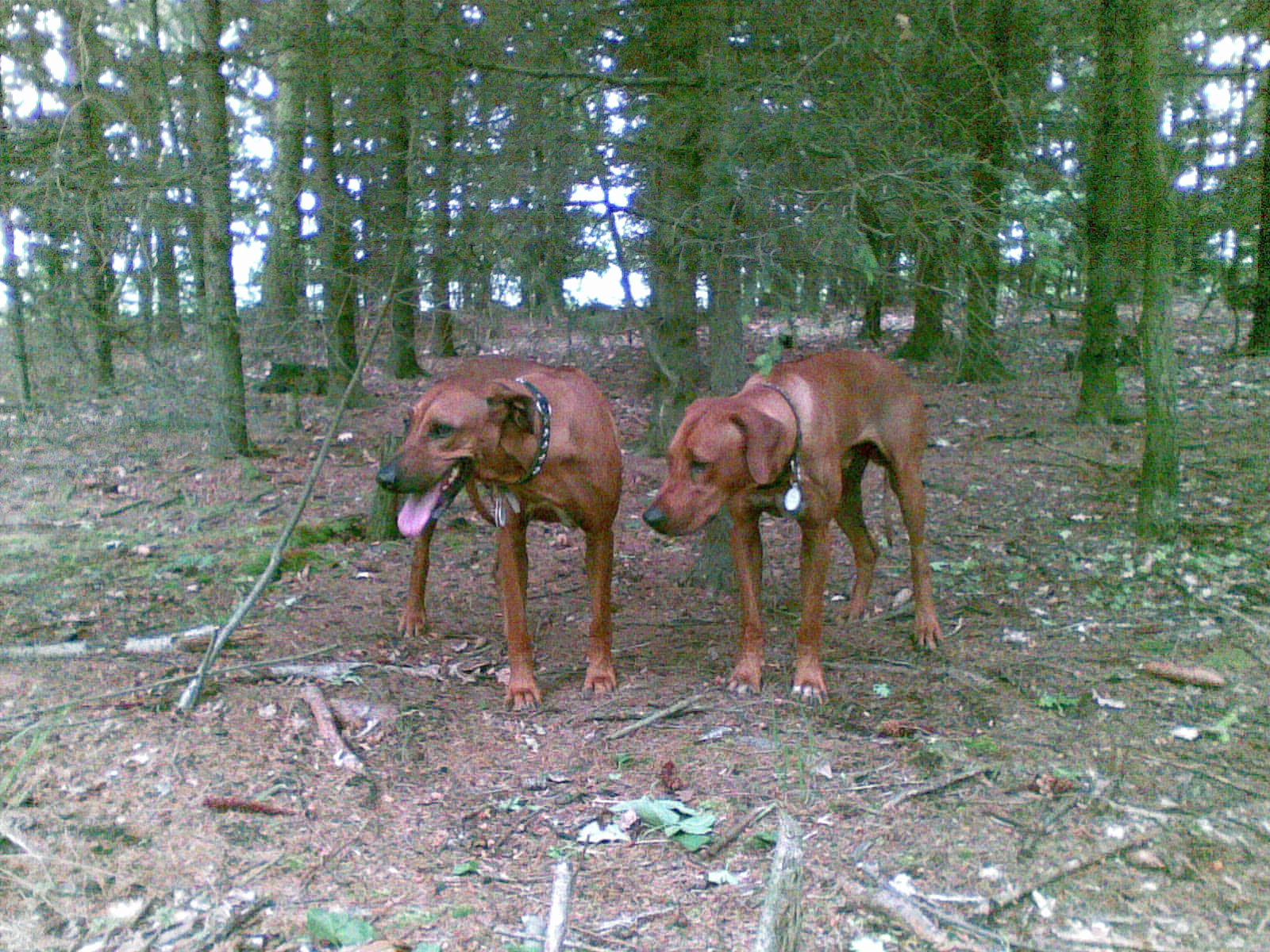 28052009(004).jpg