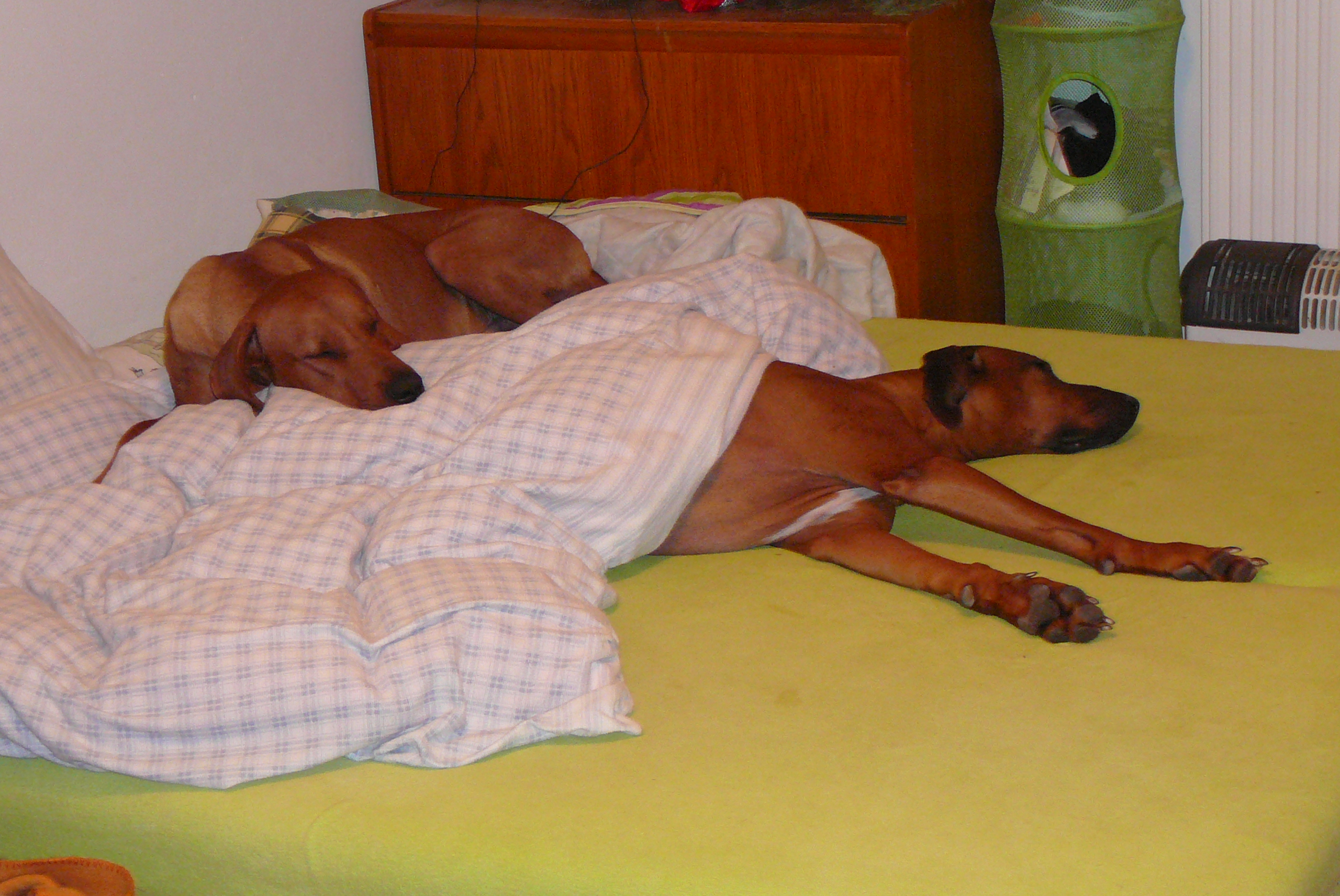 fotky do února 09 128.jpg