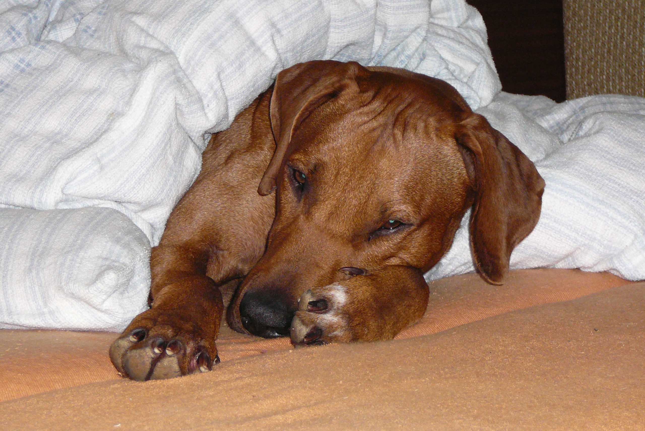 fotky do února 09 122.jpg