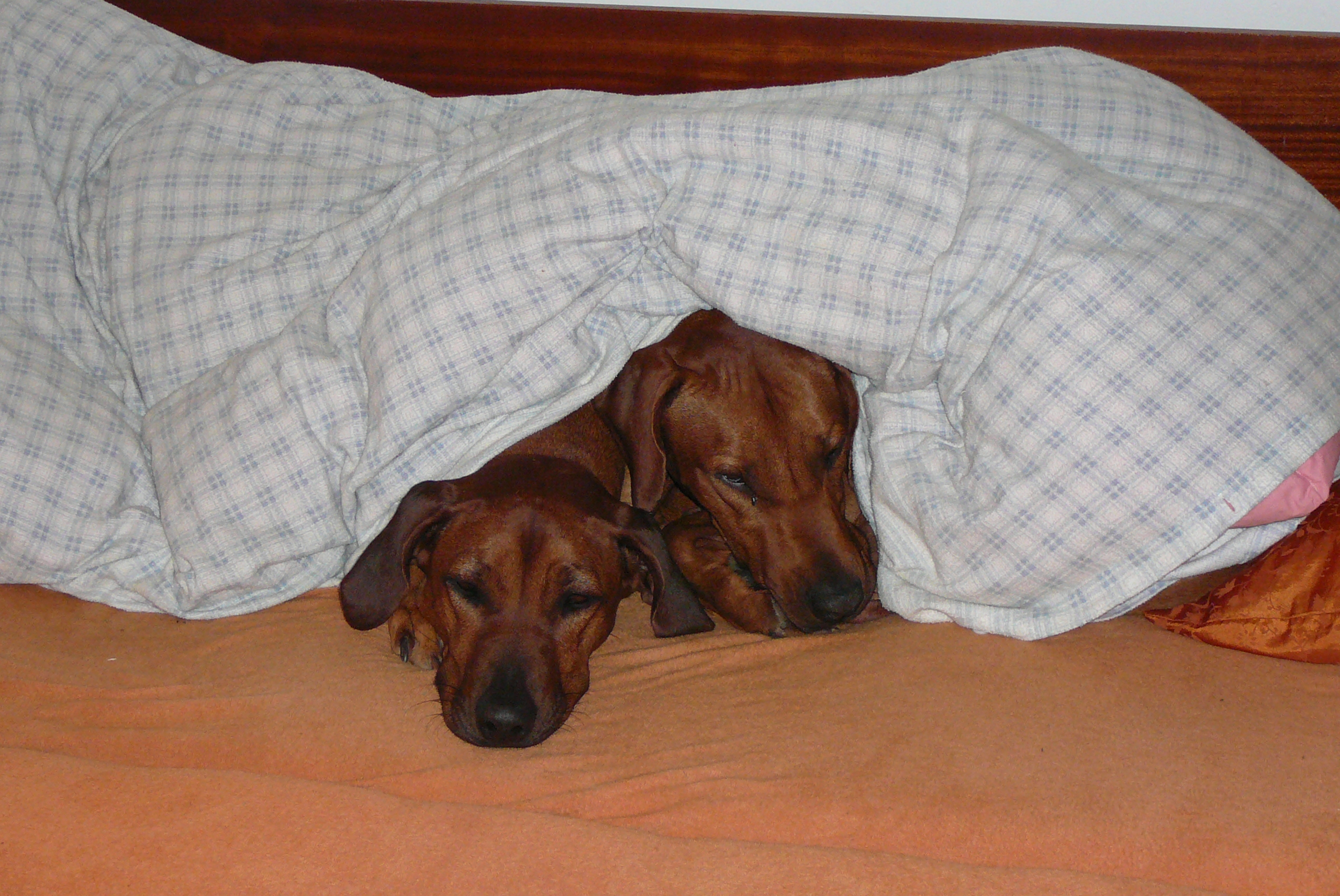 foto 021.jpg