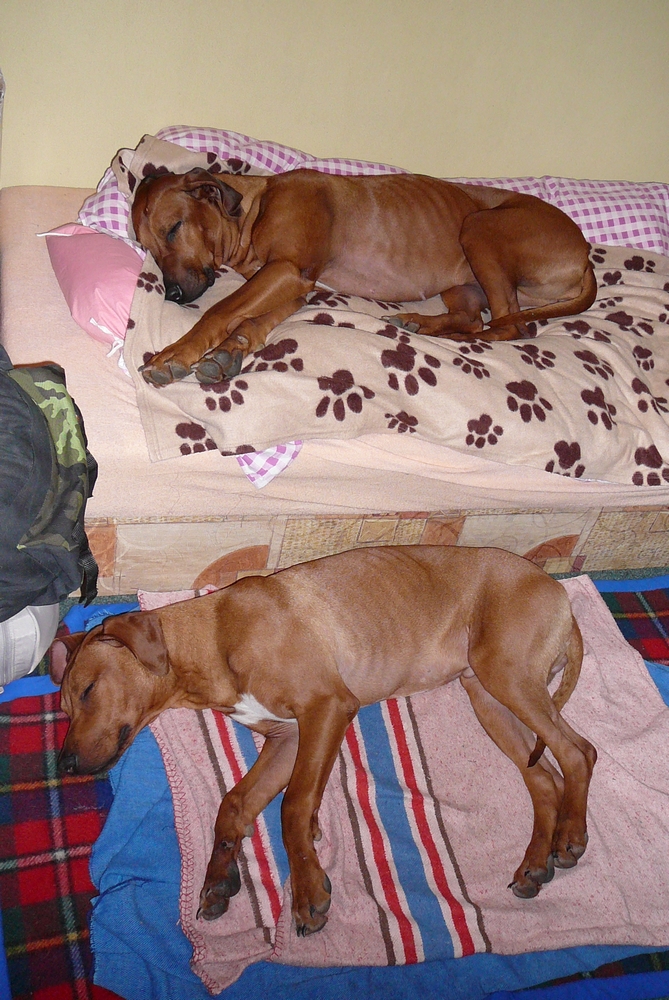 P1040469.JPG