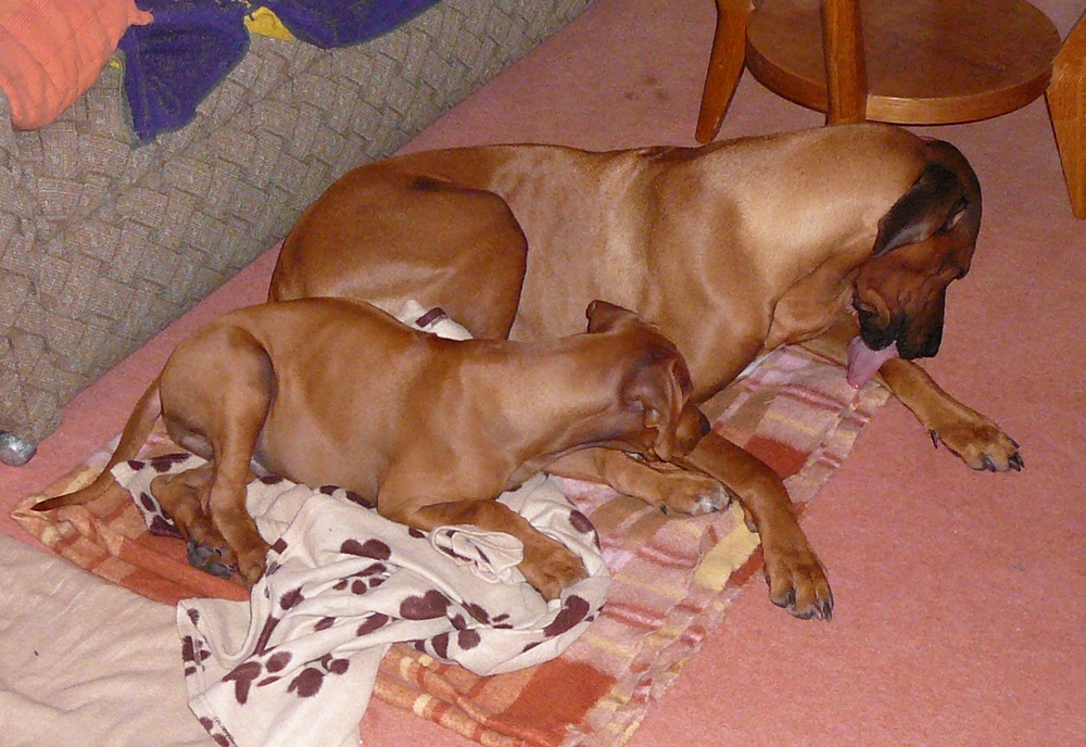 P1030907.JPG