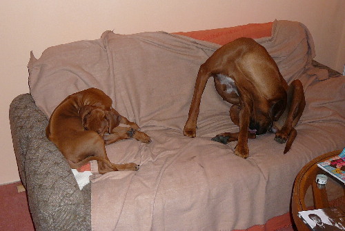 P1030577.JPG