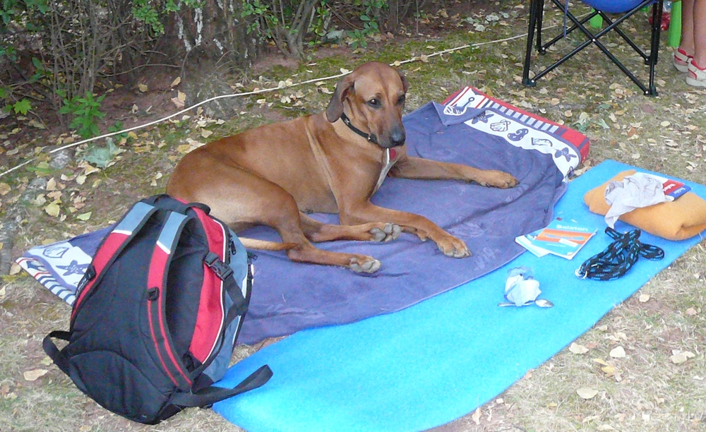 P1030049.JPG