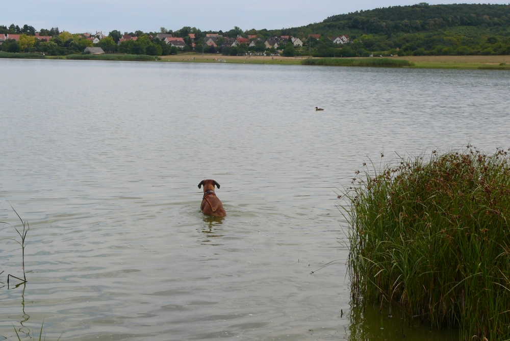 P1030052.JPG