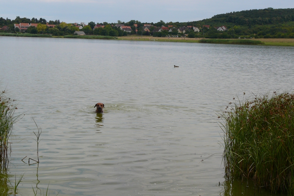 P1030053.JPG